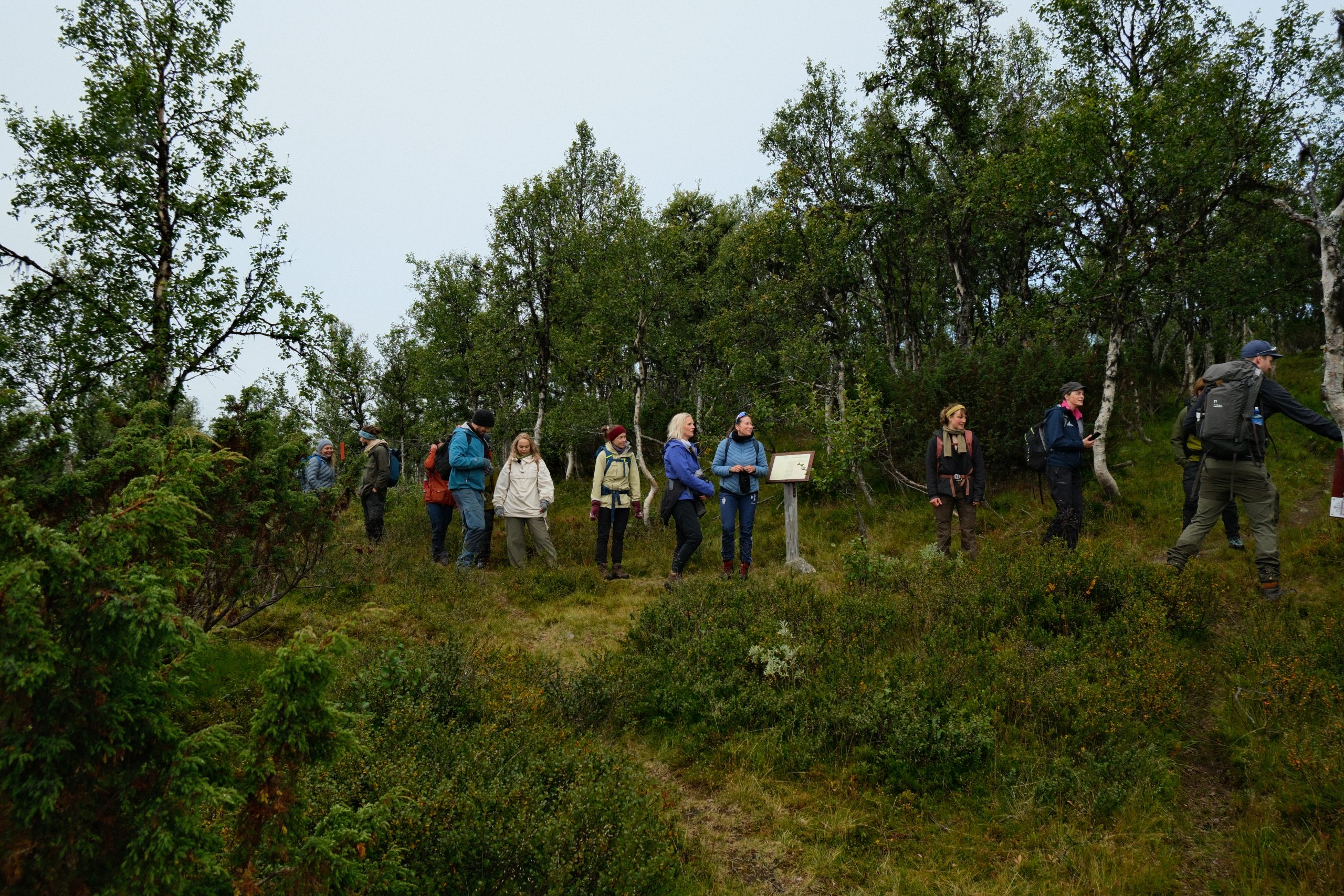 What new acquaintances await when we slow down? -Exploring walking, attention, and wonder in Vingelen, Norway  